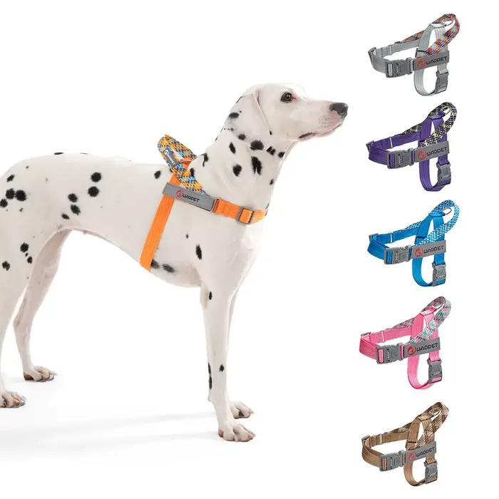 HarNISSAN-Corde Plate en Nylon Durable pour Chien