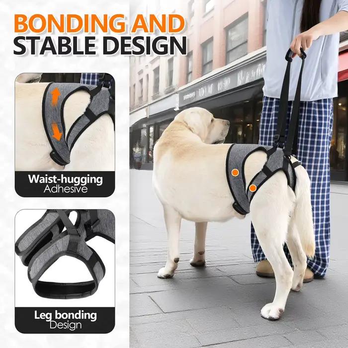 Harnais de levage pour chien