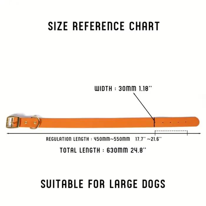 Ensemble collier et laisse pour animaux de compagnie en PVC imperméable