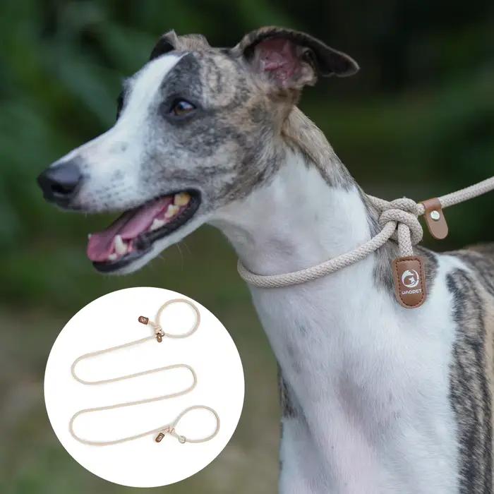 Corde de course réglable pour chien avec mains libres