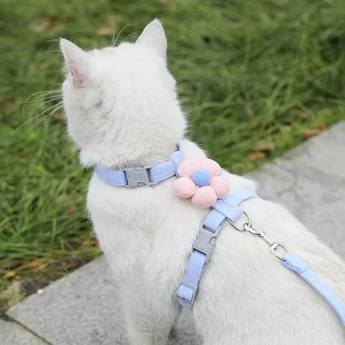 Ensembles de harnais et de laisse pour chat