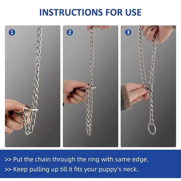 Collier de starter pour chien