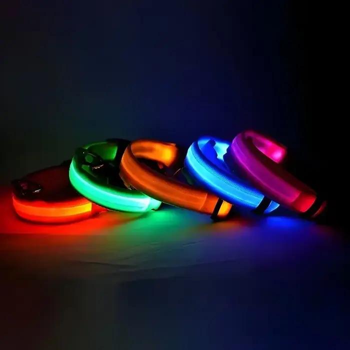 Collier pour chien en Nylon LED sécurité nocturne clignotant lueur dans la nuit laisse