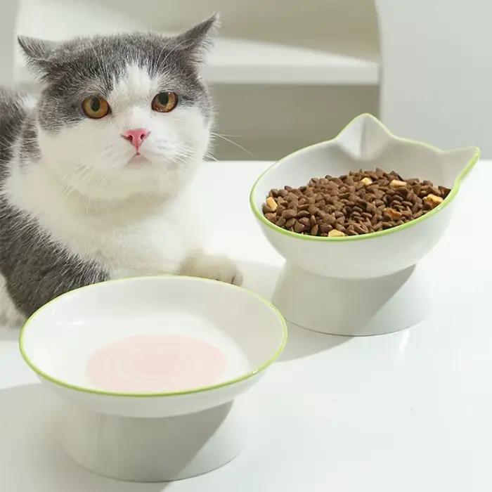 Bol en céramique pour chat