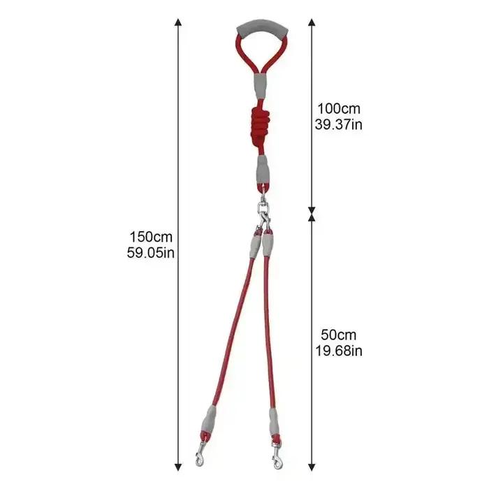Double laisse détachable pour chien