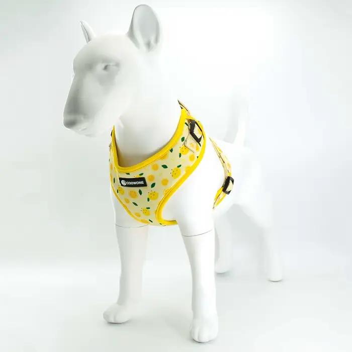 Collarlogo réglable collier pour chien de compagnie Durable doux mignon créatif citron conception laisse néoprène harnais merde caca sac distributeur