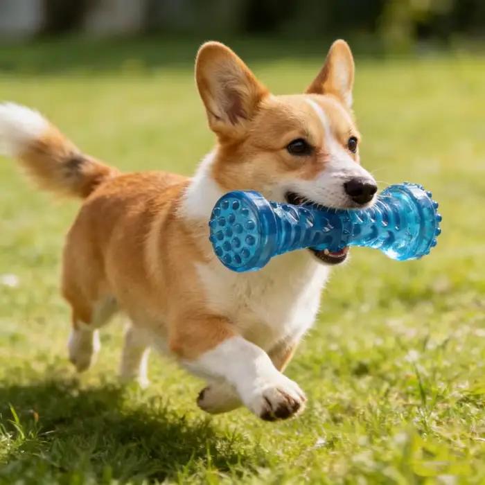 Jouet à mâcher résistant aux morsures pour chien - Os