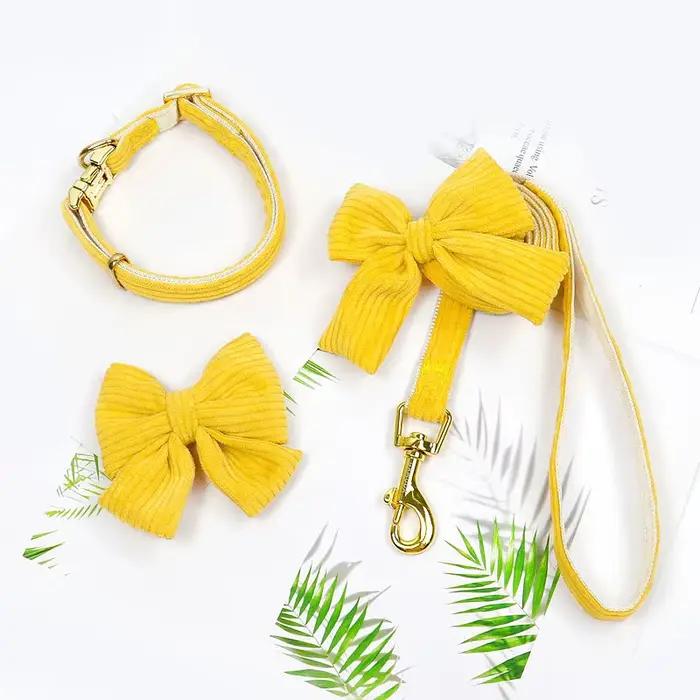 Ensemble de laisse de collier de chien en velours côtelé pour la marche quotidienne en plein air en cours d'exécution