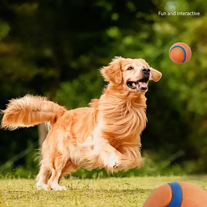 Balle de chien indestructible