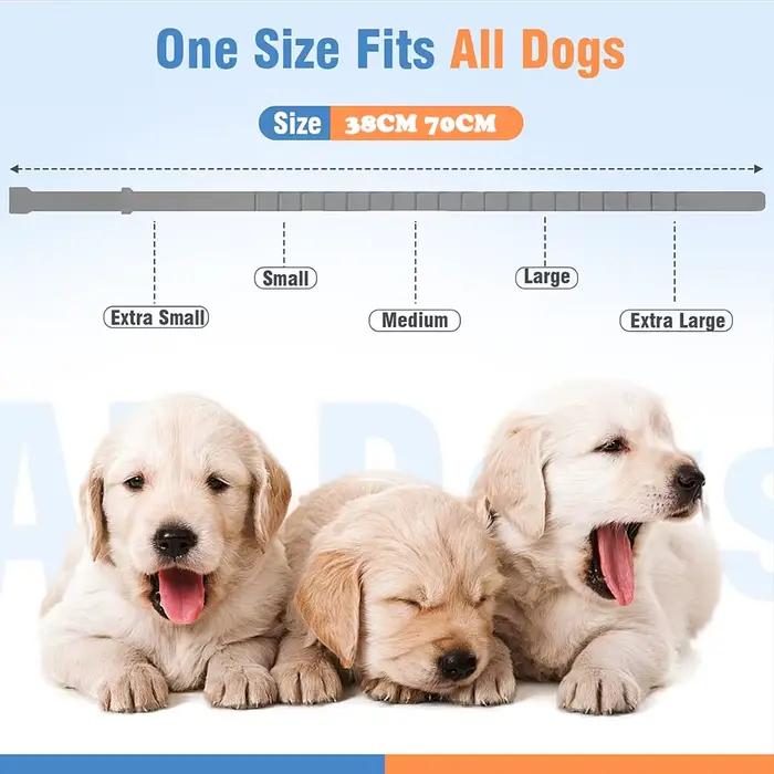 Colliers apaisants naturels pour chiens et chats