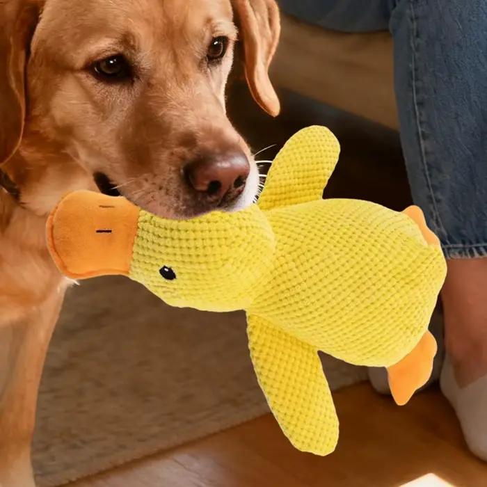 Jouet à mâcher pour chien canard grinçant