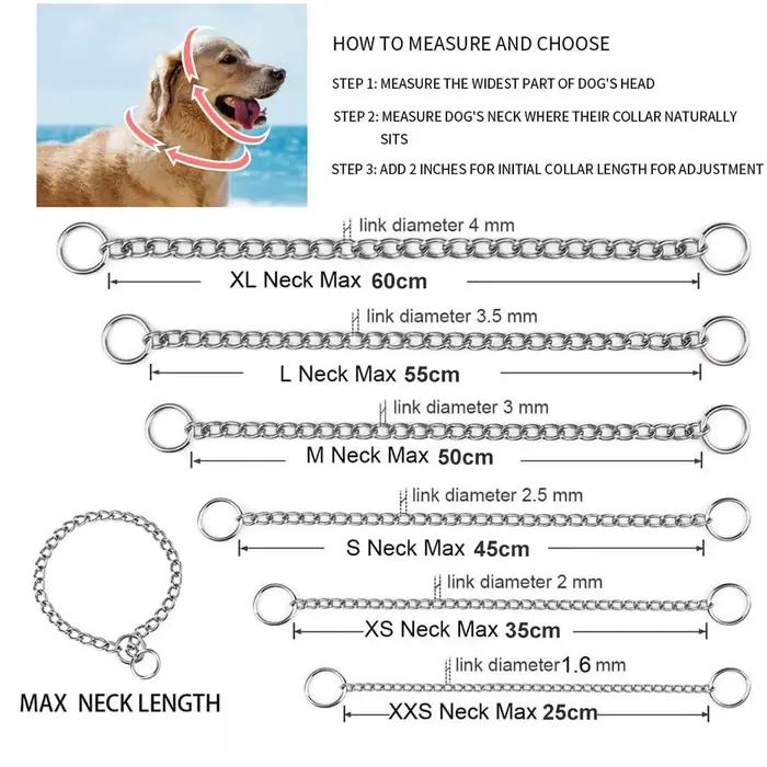 Collier de starter pour chien