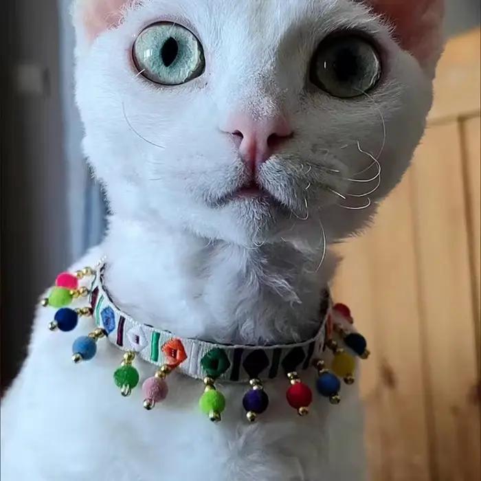 Collier de chat de Style bohème rétro