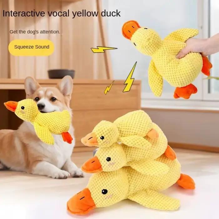 Jouet pour chien en peluche résistant aux morsures