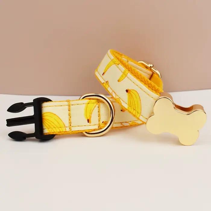 Collier de chien gravé personnalisé de qualité supérieure pour chiens de petite