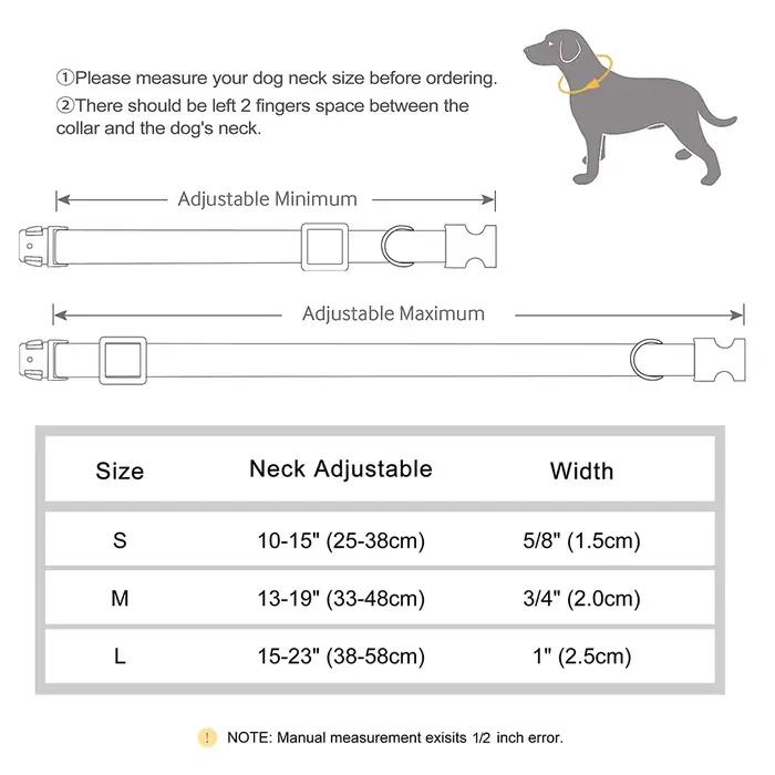 Collier de chien personnalisé colliers