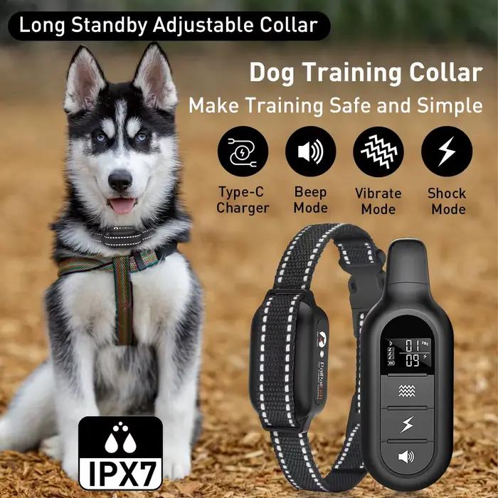 Paipaitek 1000M collier d'entraînement pour chien toutes tailles