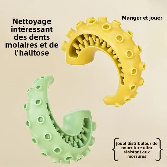 Jouets pour chiens TPR pour chiens de petite et moyenne taille