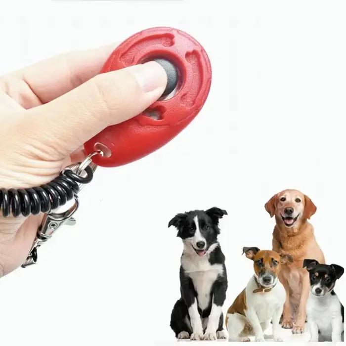 Clicker d'entraînement pour chien