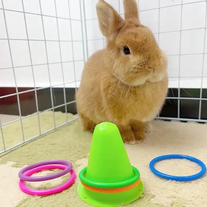 Jouet de virole de lapin en forme de cône de crème glacée aléatoire