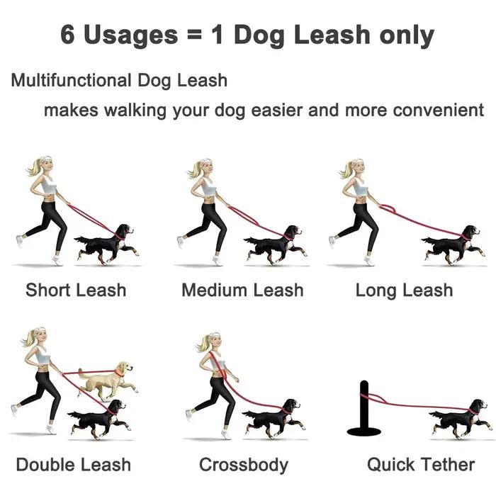Laisse pour chien de taille moyenne et grande 1