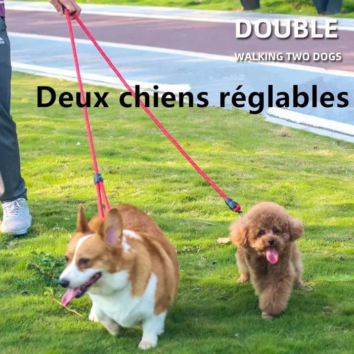Laisse pour chien mains libres