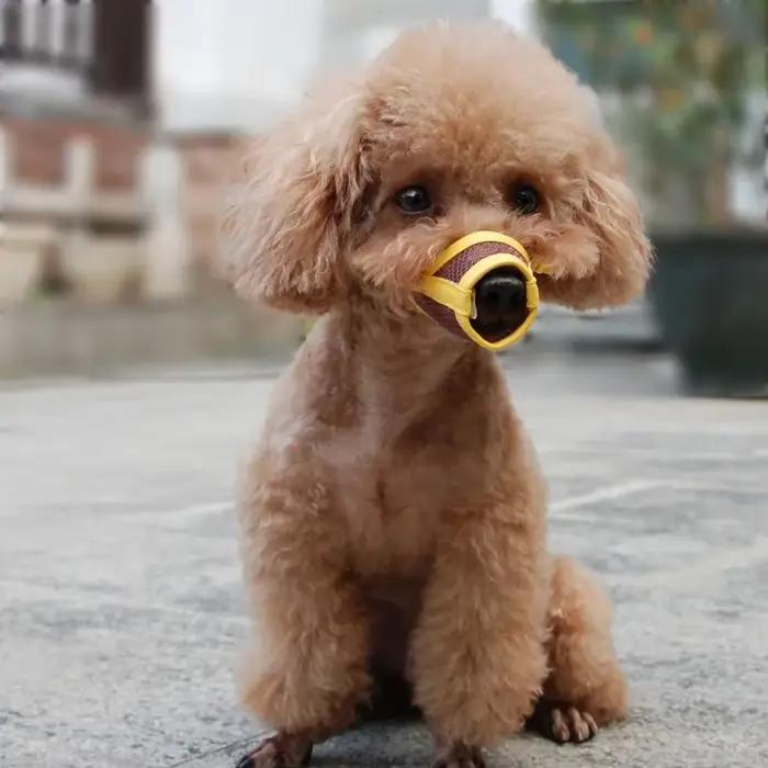 Muselière Anti-aboiement pour chien