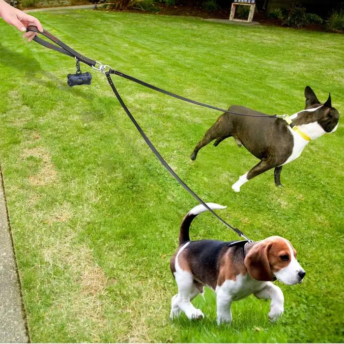 Laisse pour chien à 2 voies