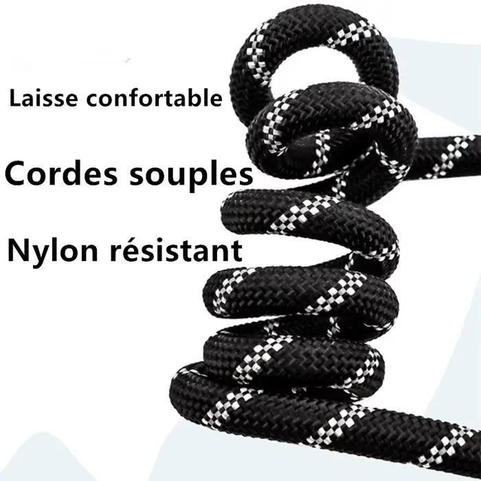 Laisse pour chien mains libres