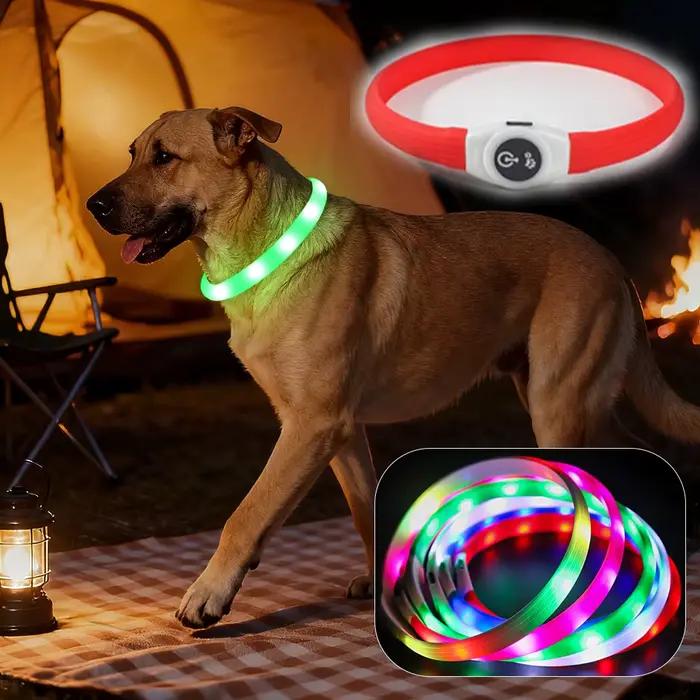 Collier pour chien éclairé par LED