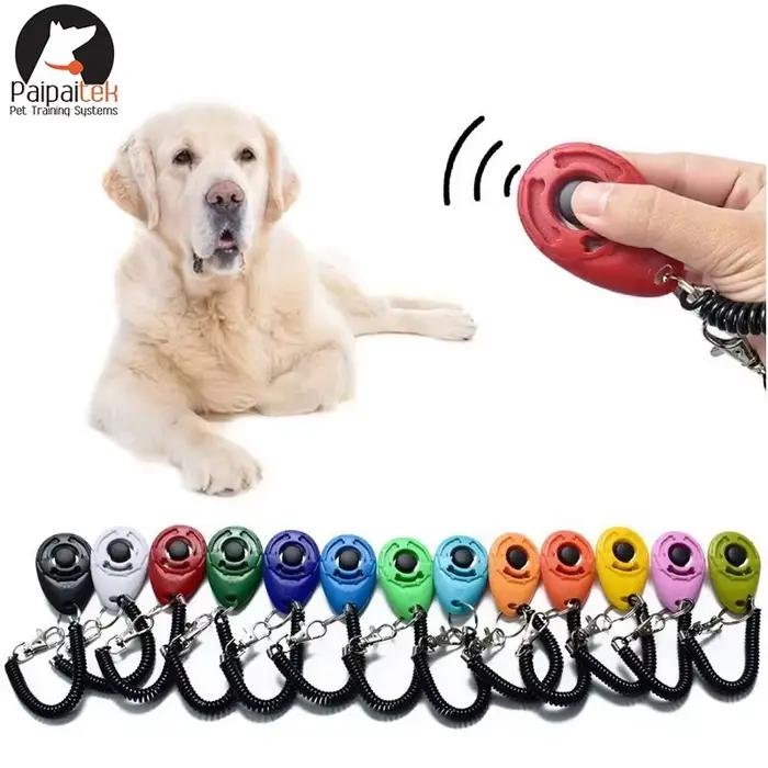 Clicker d'entraînement pour chien