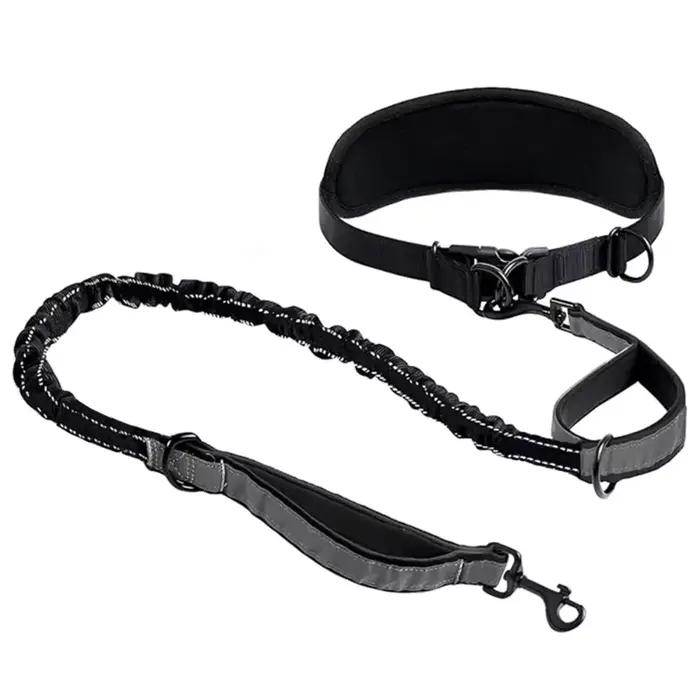 Laisse pour chien mains libres avec ceinture de soutien lombaire