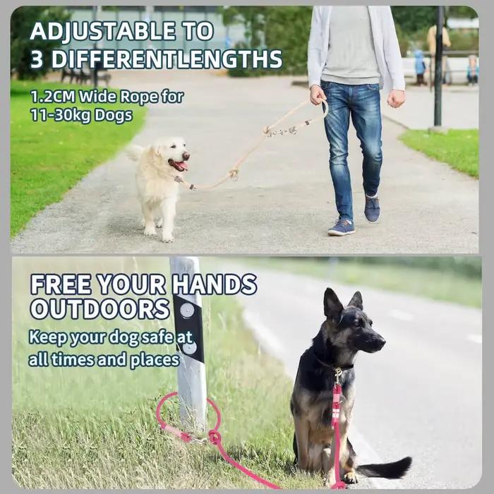Laisse de chien multifonctionnelle courte et longue