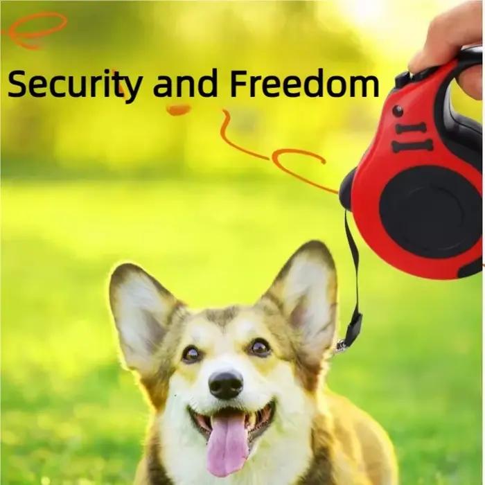 Laisse rétractable automatique pour chien 3m/5m en nylon pour petits chiens et chats