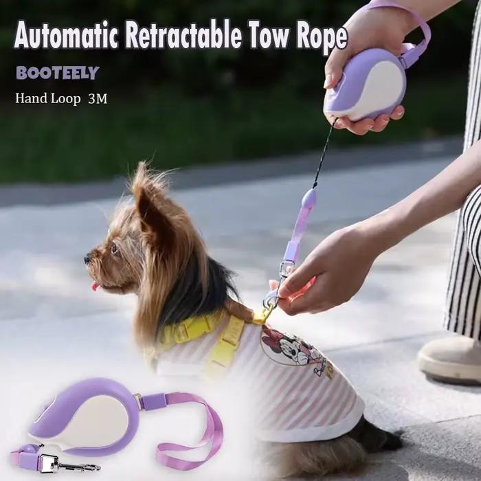 Laisse Booteely 3M pour petits chiens laisse rétractable automatique
