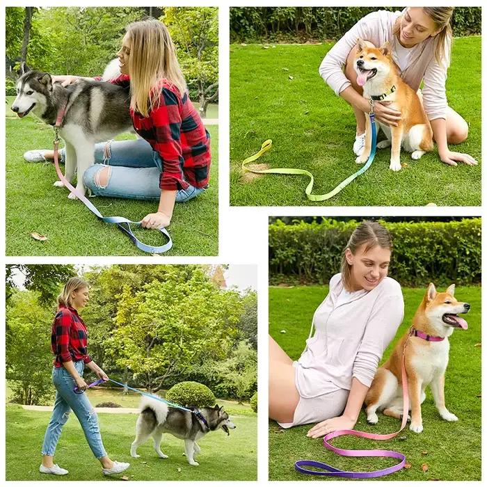 Collier de chien réglable en nylon
