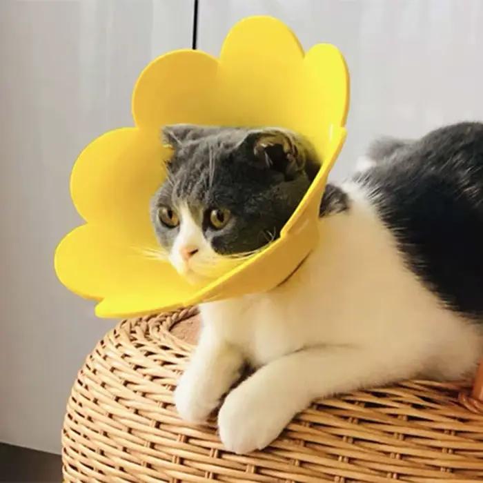 Collier de protection anti-léchage en EVA pour chats et chiens
