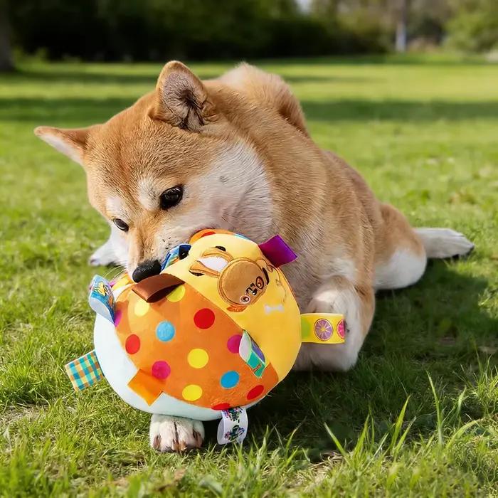 Jouet interactif pour chien avec balle