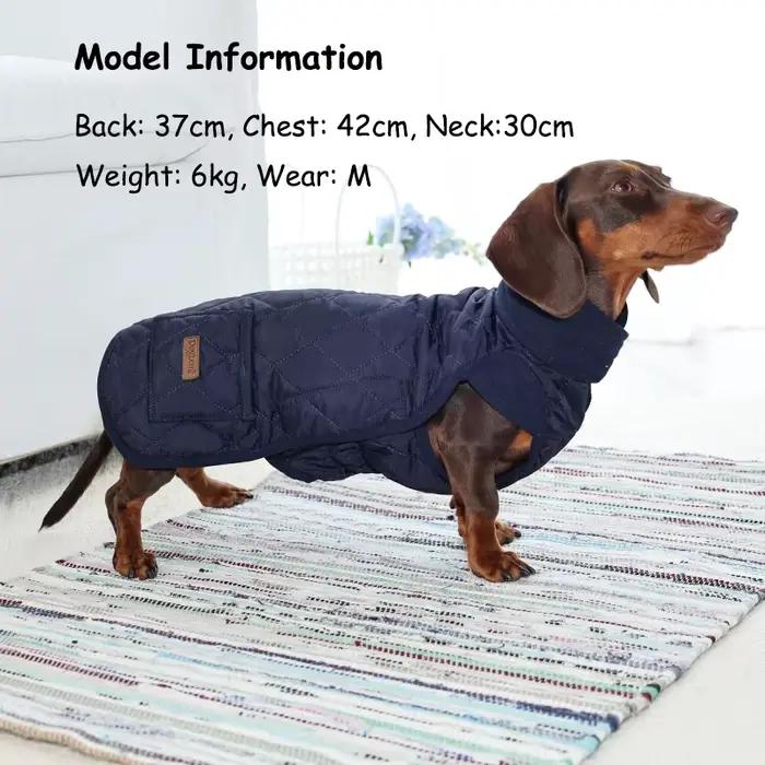 Manteau thermique d'hiver pour teckel