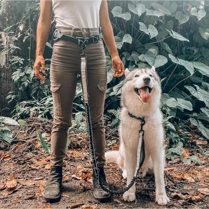 Laisse pour chien mains libres avec ceinture de soutien lombaire