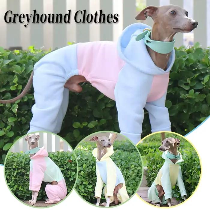 Hiver chien sweat à capuche Whippet manteaux pour animaux de compagnie Pyjamas