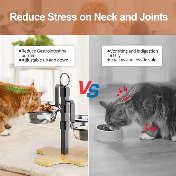 Bols surélevés pour animaux de compagnie avec support