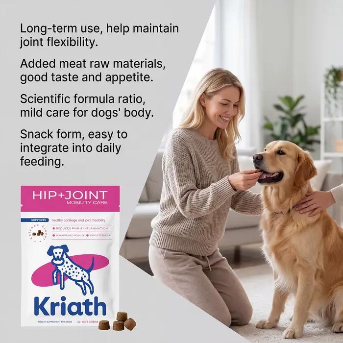 Complément alimentaire pour chiens