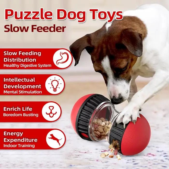 Jouet pour chien améliorant l'IQ