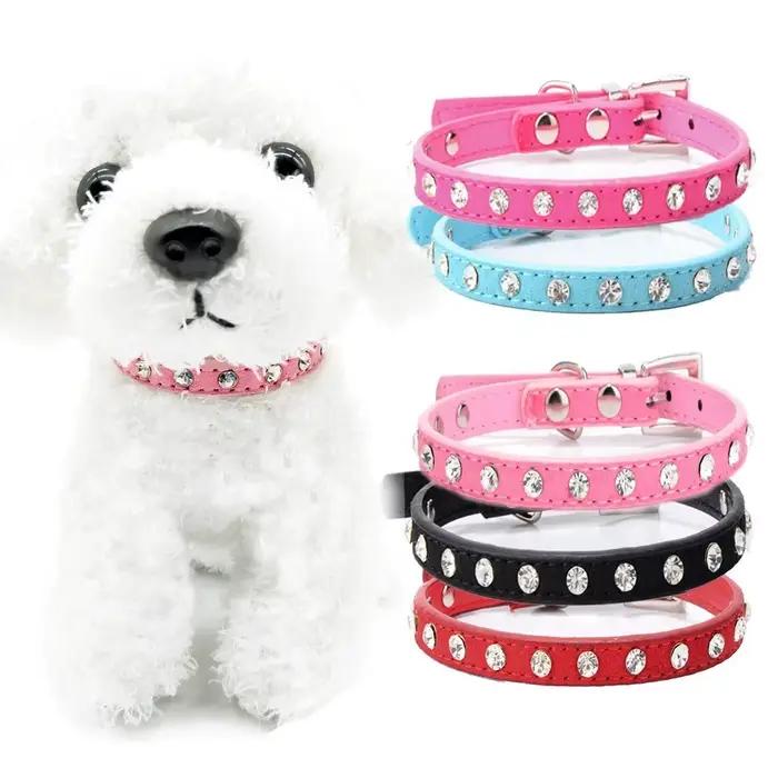 Petit chien chat Collier chaton chiot cuir