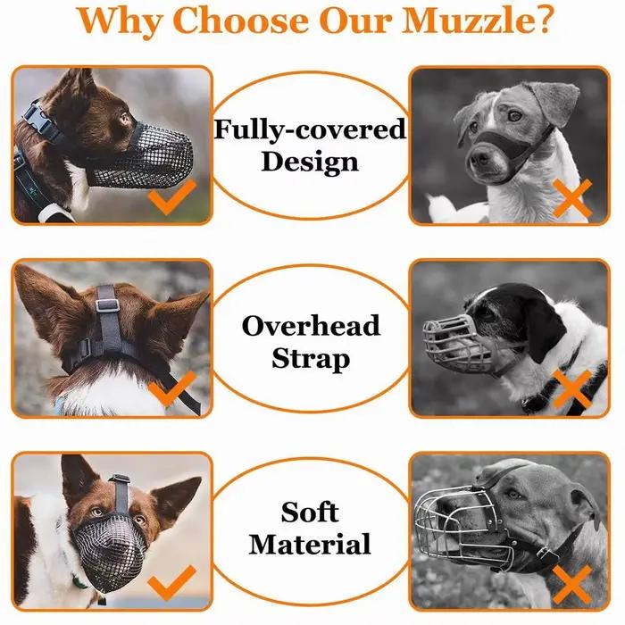 Muselière pour chien