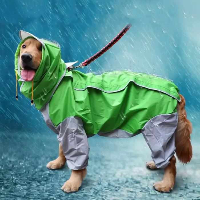 Imperméable pour grand chien