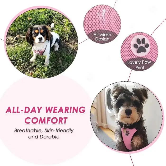 TWindsor-Ensemble de ceinture de sécurité pour voiture pour chien