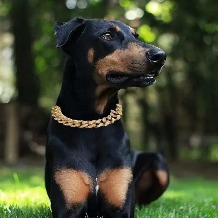 Collier de chien en strass
