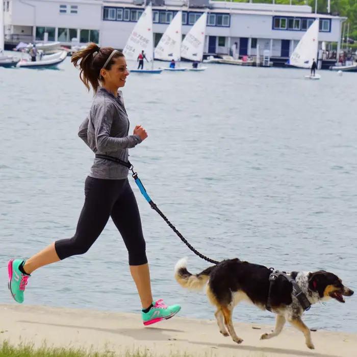 Laisse de chien mains libres pour animaux de compagnie marche course Jogging